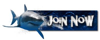 Great White Hits Join Button